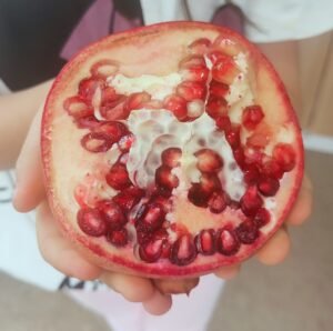 Read more about the article Rodia: Fructul antioxidant care îți protejează inima și imunitatea
