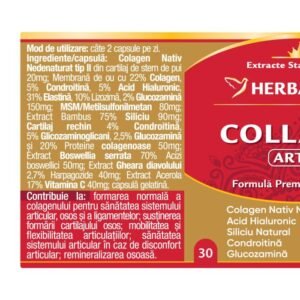 COLLAGEN ARTRO 30 capsule Colagen bioactiv – regenerează cartilajul, susține articulațiile, reduce inflamația.