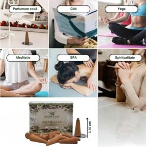 Conuri parfumate cu Salvie Albă, 10 conuri +suport ardere