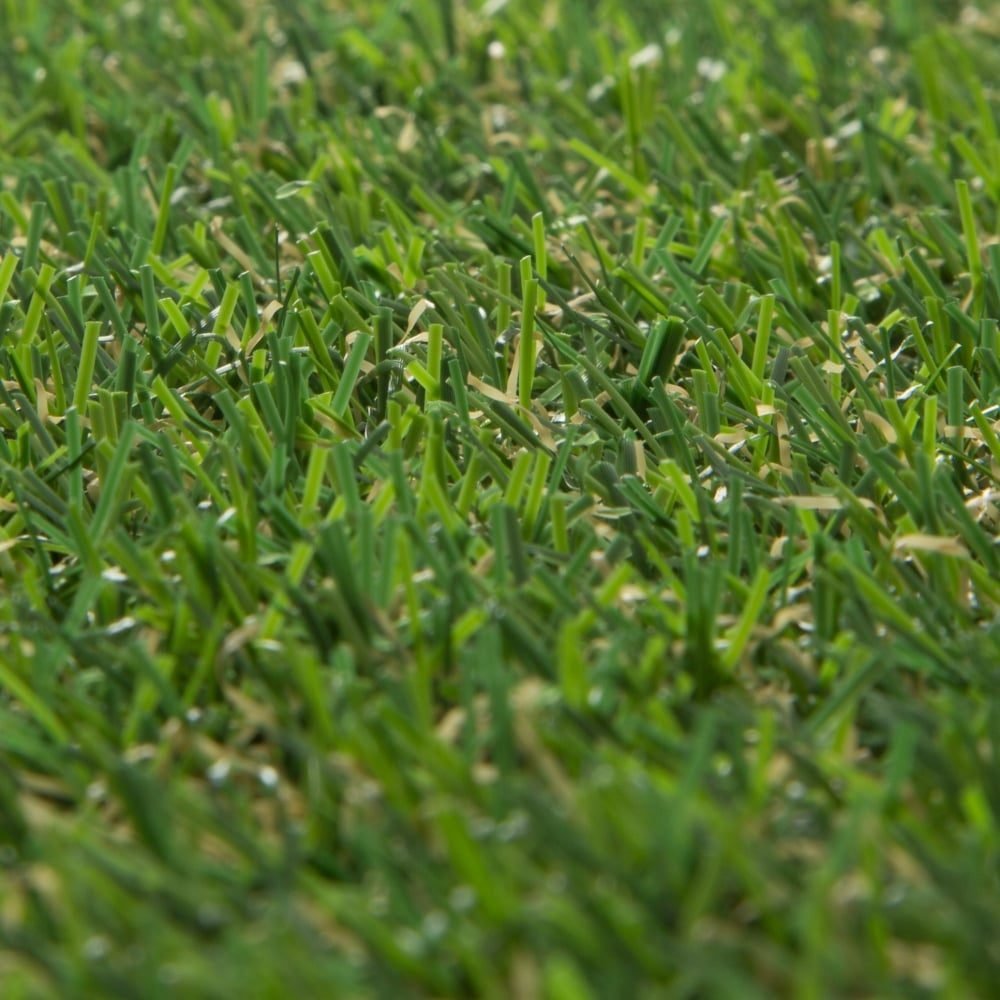 Covor Iarba Artificiala, Tip Gazon, Verde, Sersimo, 20 mm, 4 mp, 100x400 cm - imagine 4